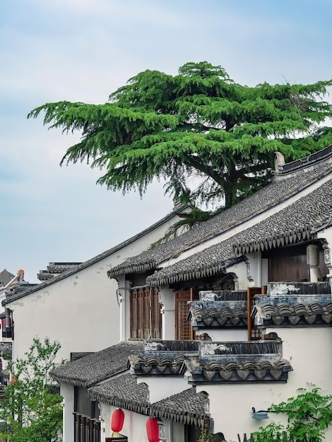 Foto un edificio con un árbol al fondo.