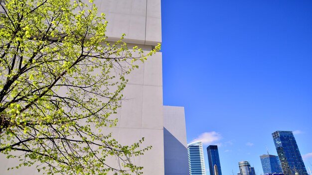 un edificio con un árbol delante y un cielo azul en el fondo