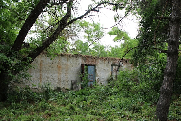 Un edificio con árboles a su alrededor.