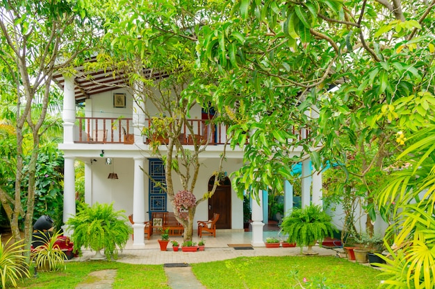 Edificio blanco del hotel entre las plantas tropicales verdes.