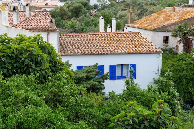 Edifício branco com janelas azuis cercadas por árvores