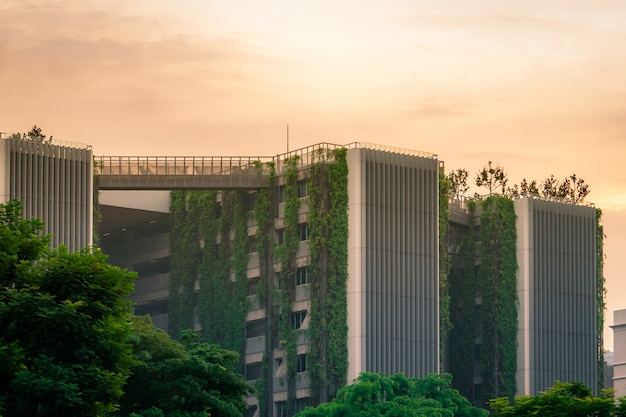 Edificio ecológico con jardín vertical en la ciudad moderna