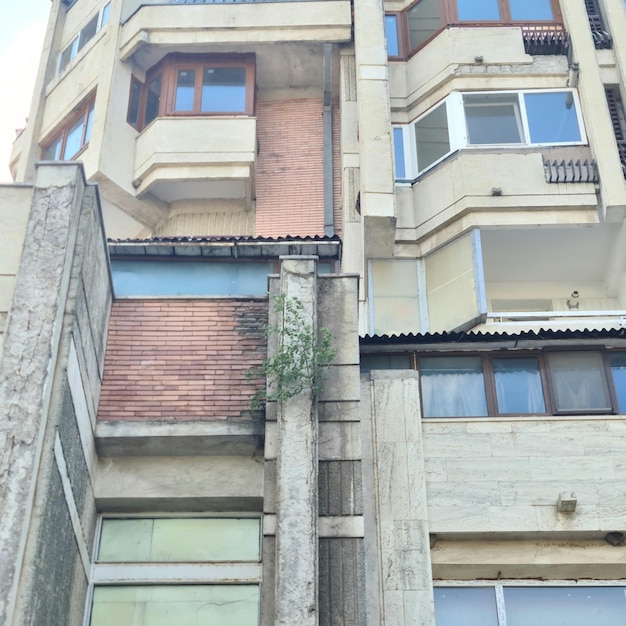 El edificio es un bloque de viviendas con un pequeño árbol que crece en la parte inferior.