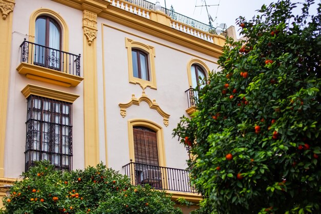 Edificio español con naranjos