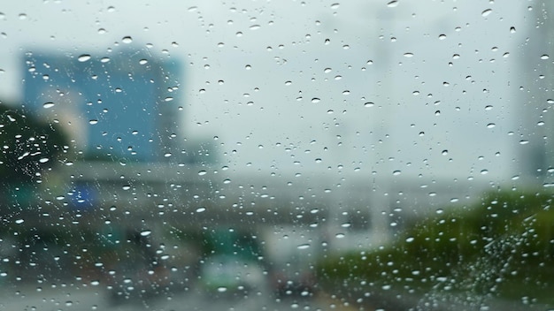 Un edificio está en el fondo.