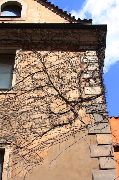 Edificio histórico, Plaza de la ciudad de Praga, REPÚBLICA CHECA