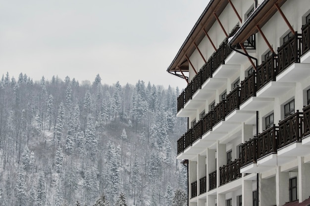 El edificio del hotel contra las coníferas cubiertas de nieve. Lugar para el texto.