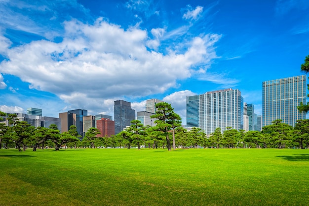 Edifício moderno com jardim zen verde sobre fundo de céu azul em tóquio