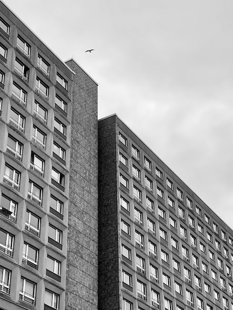 Un edificio con un pájaro volando en el cielo.