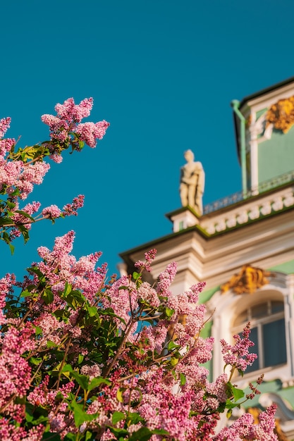 Edificio del Palacio de Invierno fotografiado en verano a través de lilas en flor San Petersburgo