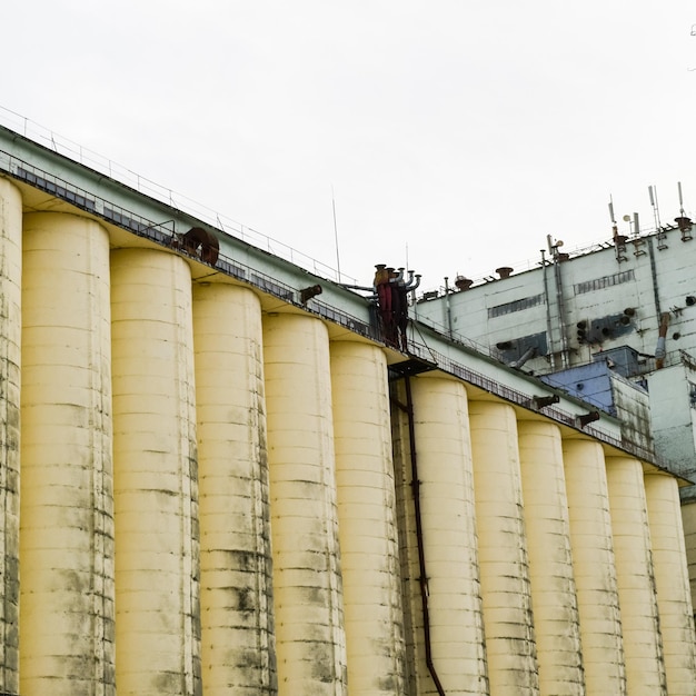 Foto edifício para armazenamento e secagem de cereais