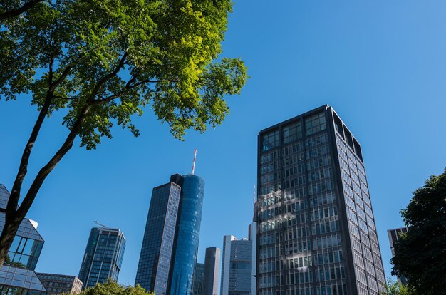 Edificio rascacielos en el distrito comercial de Frankfurt