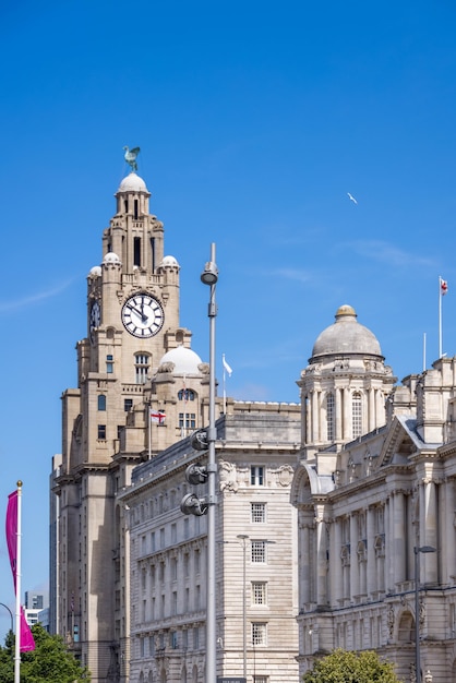 Edifício royal liver com torre do relógio em liverpool, inglaterra