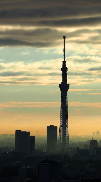 Edificio de silueta de árbol de cielo de Tokio y puesta de sol con cielo y nubes.