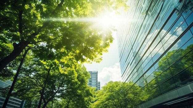 Edificio de vidrio alto con ramas verdes de árboles