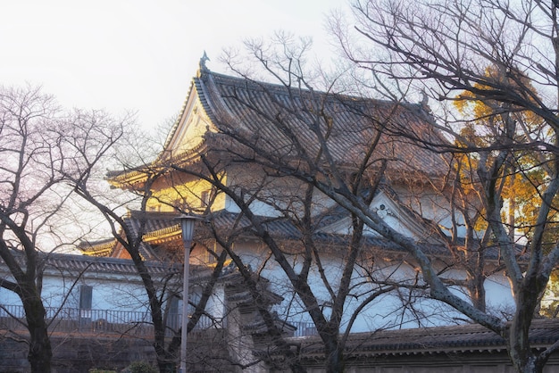 Un edificio en la zona del castillo de Osaka con luz cálida