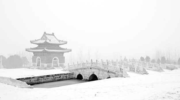 Edificios antiguos en un paisaje nevado blanco y negro