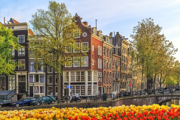 Foto edificios antiguos tradicionales en amsterdam, países bajos