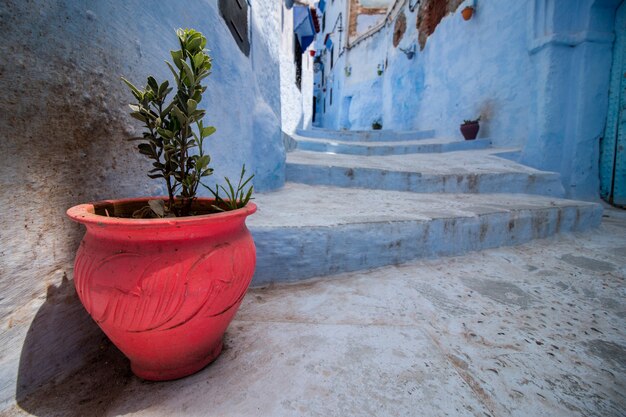 Edificios de la ciudad de Chefchaouen