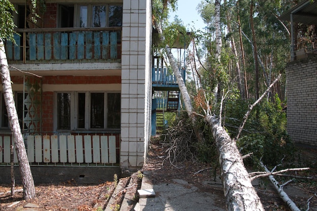 Edificios de ladrillo destruidos en el territorio de un antiguo campamento infantil en el bosque de verano Ulyanovsk