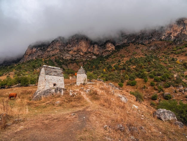 Edifícios majestosos de torres antigas de Kelly e antigas criptas familiares no desfiladeiro de Assinesky, na montanhosa Inguchétia, uma das aldeias medievais de torre tipo castelo localizadas na cordilheira da Rússia