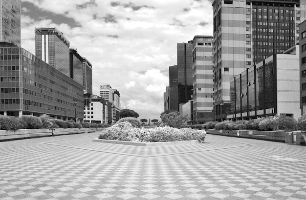 Edificios modernos contra el cielo en la ciudad