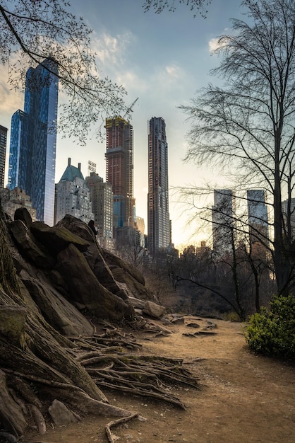 Edificios modernos contra el cielo en la ciudad