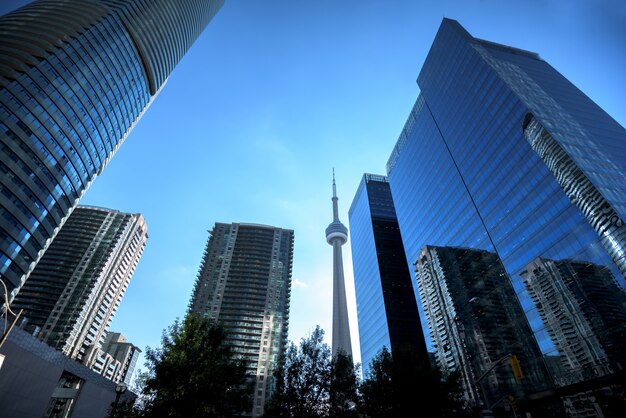 Edifícios modernos no horizonte da cidade de Toronto, Ontário, Canadá