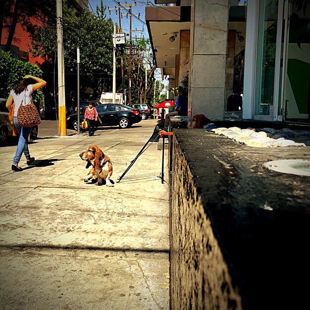 Foto edifícios na cidade