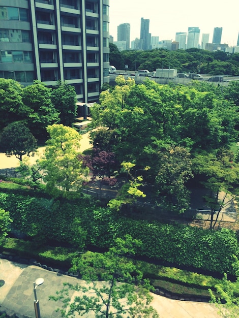 Foto edifícios na cidade