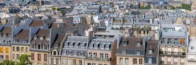 Edificios y techos típicos de París