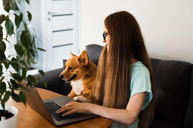 Educação a distância aluna de óculos com laptop estuda on-line com seu adorável cachorro corgi em casa jovem abraça welsh corgi pembroke estilo de vida com animal de estimação doméstico