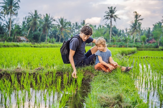 Educação de crianças na natureza pai e filho estão sentados em um campo de arroz e observando a natureza