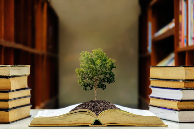 La educación es muy importante para todos. El libro está terminado. Tiene tierra. Aumenta la inteligencia. El gran árbol está creciendo.