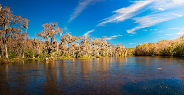 Edward Ball Wakulla Springs parque estadual Flórida