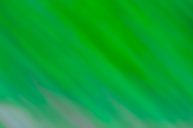 Efecto degradado verde abstracto fondo colorido borroso Fondo degradado suave