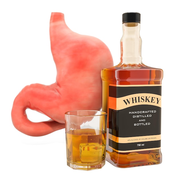 Efectos del alcohol en el concepto de estómago Estómago humano con bebida de alcohol Representación 3D
