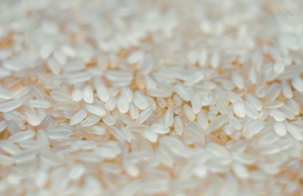 Efeito de desfoque de arroz O efeito de desfoque do fundo de arroz chinês para sushi e outros alimentos Textura e fundo