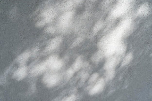 Efeito de sobreposição de sombra para fotos Sombras de folhas de árvores e galhos tropicais em uma parede branca à luz do sol