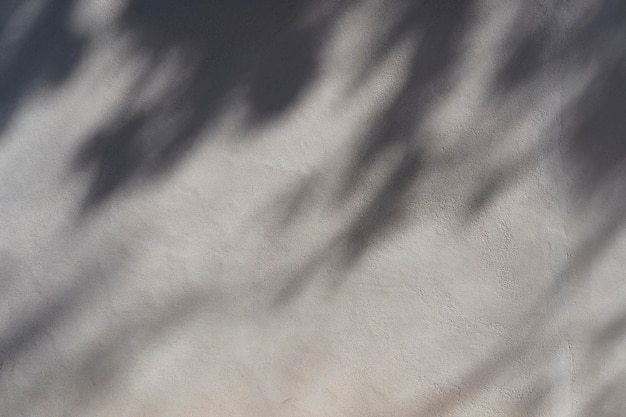 Efeito de sobreposição de sombra para fotos Sombras de folhas de árvores e galhos tropicais em uma parede branca à luz do sol