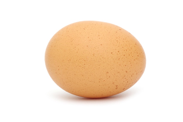 Egg