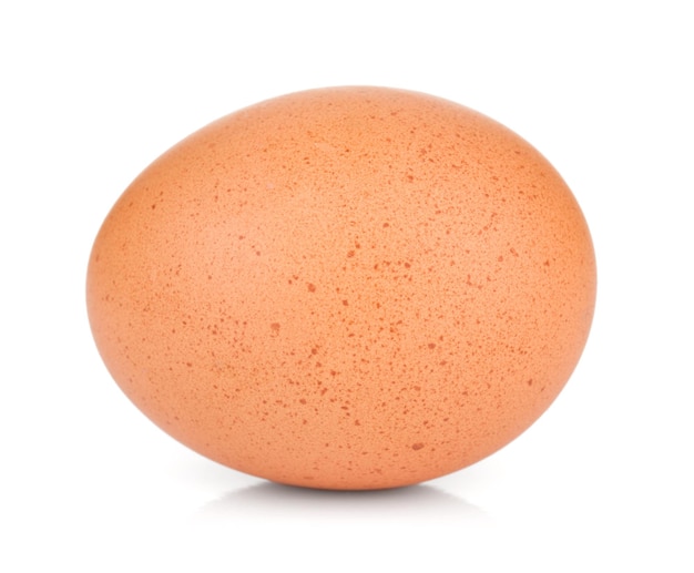 Egg