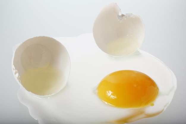 Egg