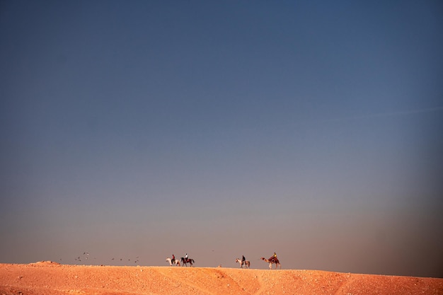 Los egipcios beduinos caminan por el desierto con camellos.