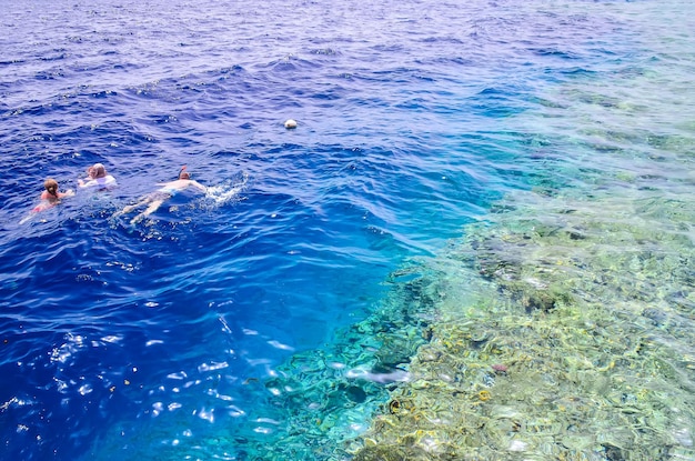 EGIPTO SHARM EL SHEIKH. Visitantes en el buceo en el mar durante el oleaje