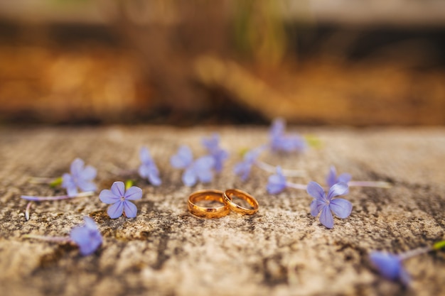 Eheringe auf Blumen