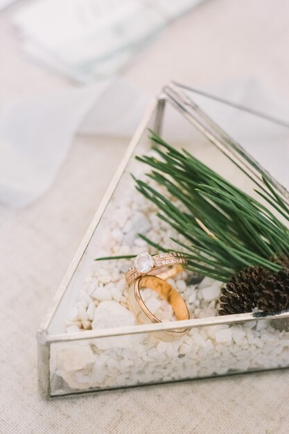 Eheringe in der Glasdreieckbox mit weißem Sand, verziert mit der Kiefer auf dem Tisch