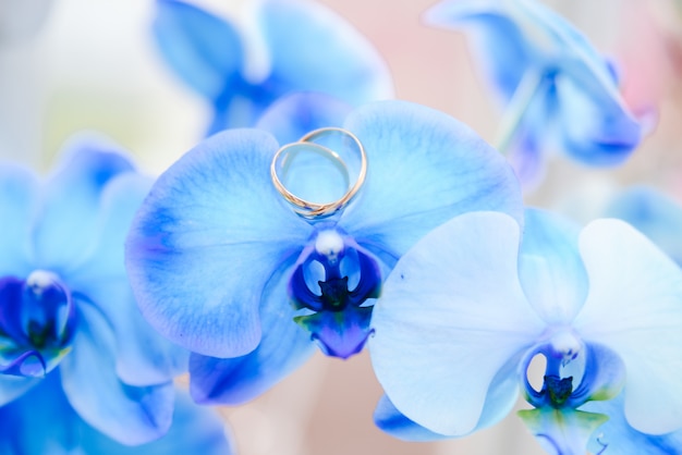 Eheringe liegen auf der blauen Orchidee, selektiver Fokus