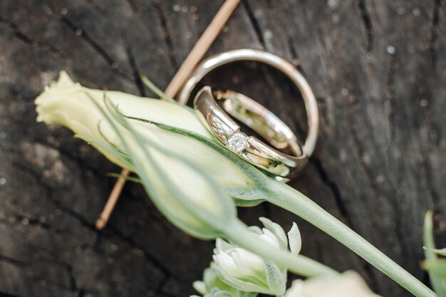 Eheringe mit Rosenblüten, selektiver Fokus.