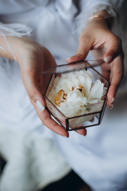 Eheringe von Braut und Bräutigam befinden sich in einer Glasbox auf dem Sukkulenten, die Box befindet sich auf den Händen der Braut.
